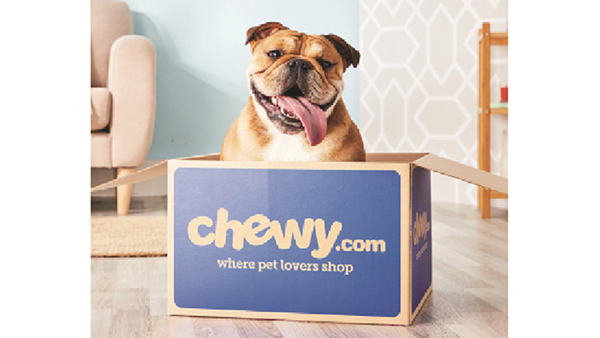 Bulldog sitting in a Chewy.com shipping box.