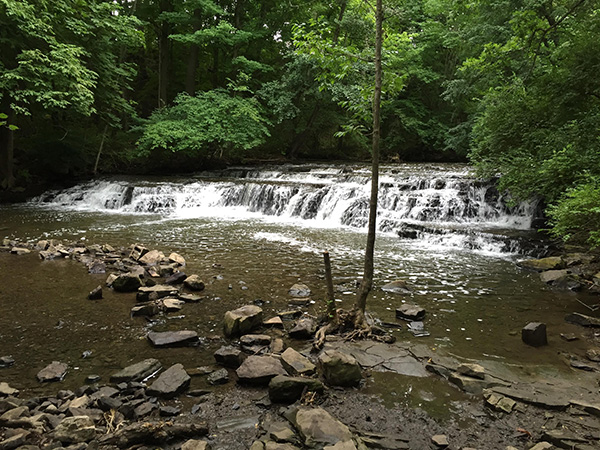A broad waterfall cascades over layered rocks into a stream surrounded by forest.
