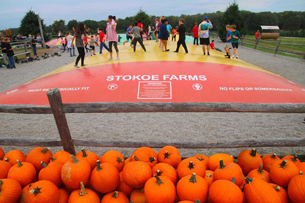 Children and adults bounce on a red-and-yellow jumping pillow marked “Stokoe Farms,” with pumpkins in front.