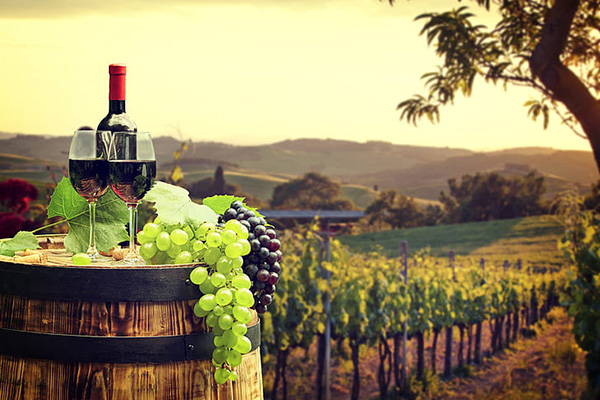 A wine bottle, two glasses of red wine and bunches of grapes on a barrel overlooking a vineyard.