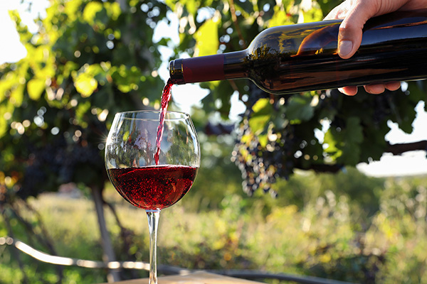 Red wine being poured into a glass beside grapevines.